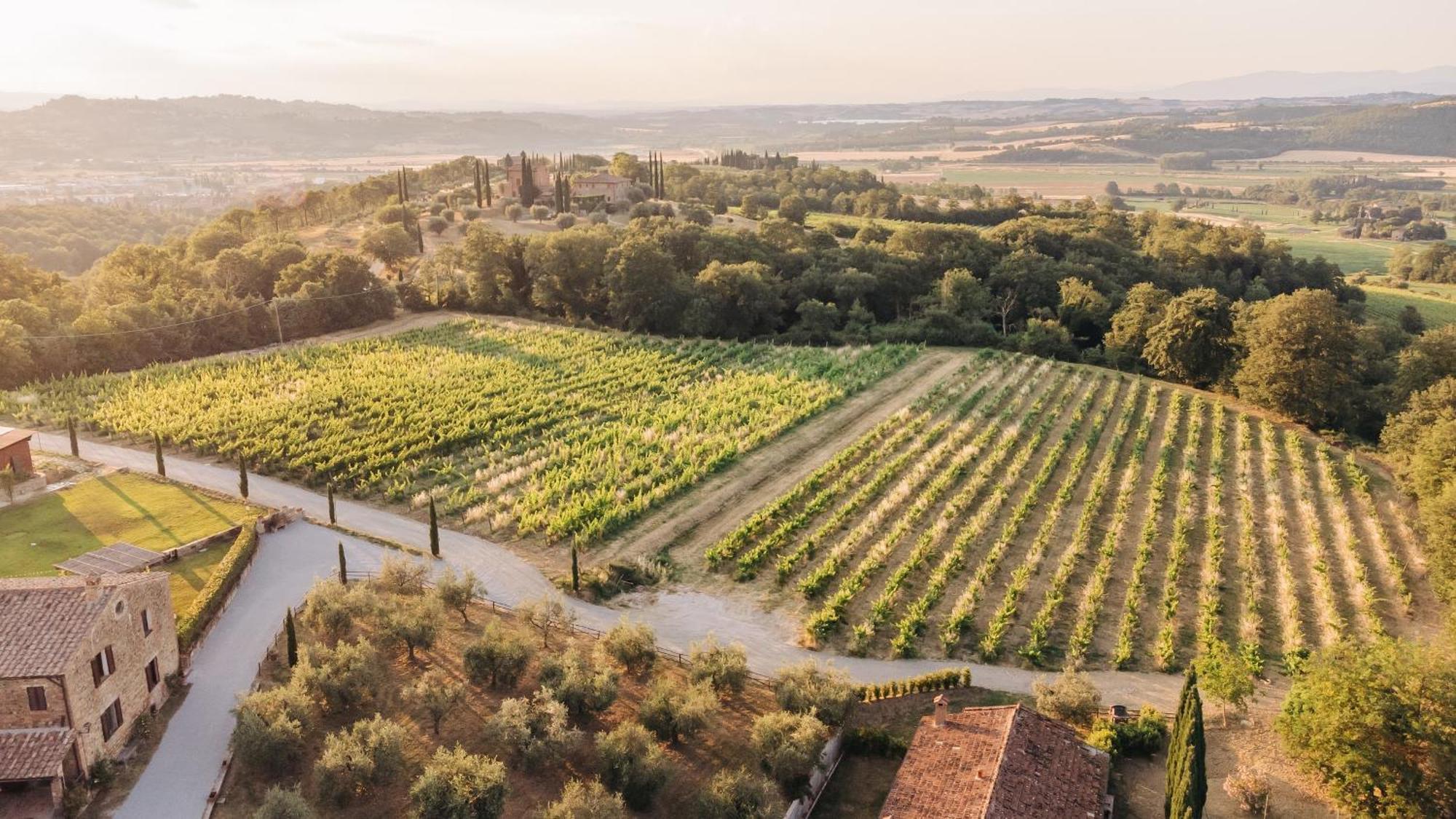Vila Borgo Siliano - Antico Podere Siliano Città della Pieve Exteriér fotografie